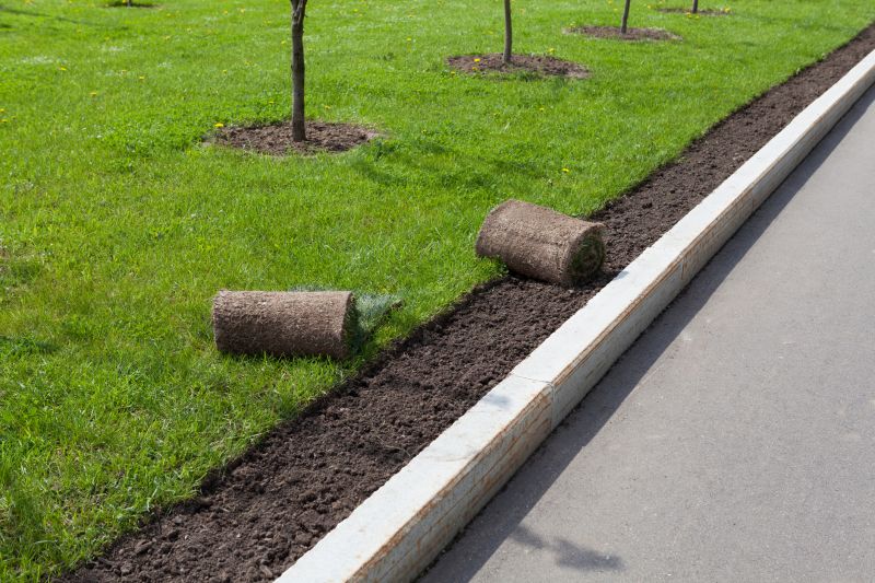 Landscaping Curb Installation
