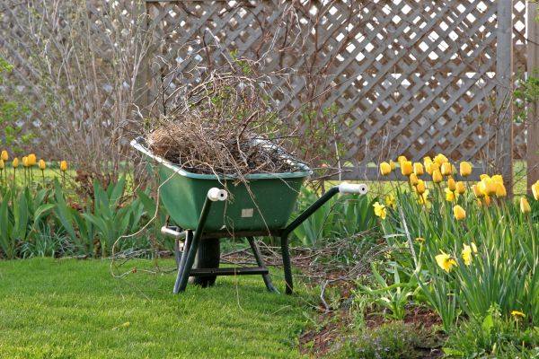 Flower Bed Cleanup Service in Bountiful