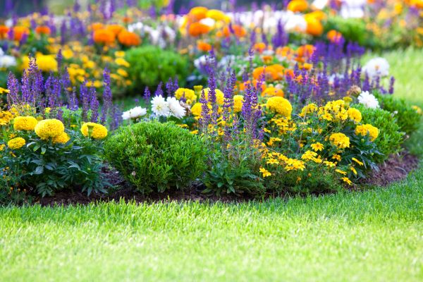 Flower Bed Maintenance in Bountiful