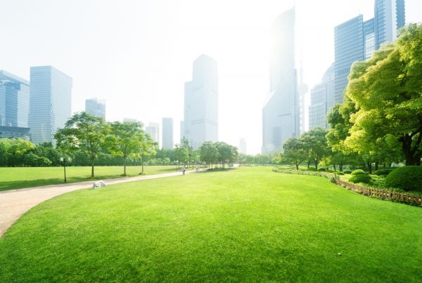 Commercial Landscape Maintenance in Bountiful