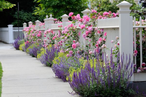 Garden Handyman Service in Bountiful