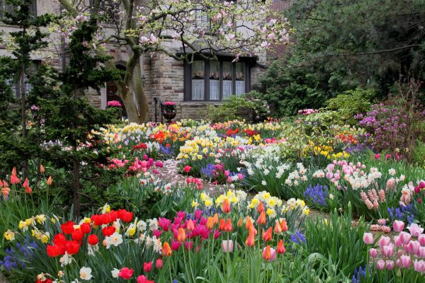 Garden Maintenance Service in Bountiful