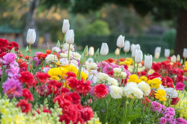 Gardening Service in Bountiful