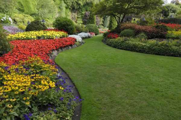 Landscaping Maintenance in Bountiful