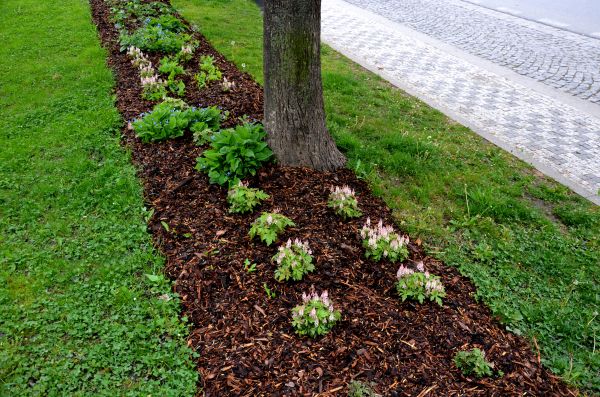 Mulch Replacement Service in Bountiful