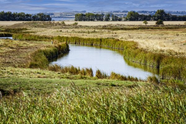 Swale Landscaping in Bountiful