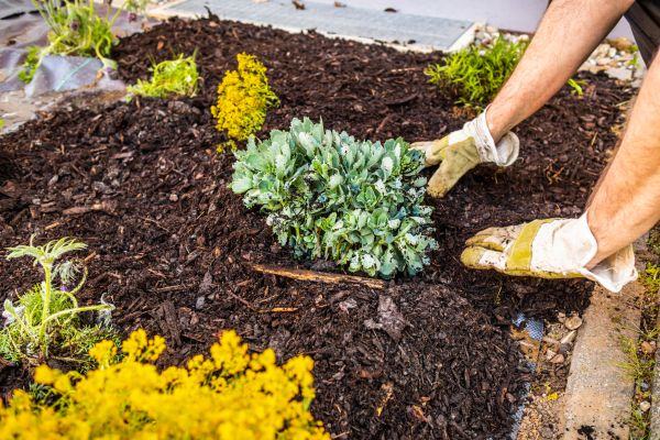 Weeding And Mulching in Bountiful