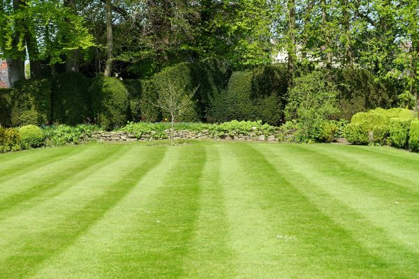 Lawn Renovation in Bountiful