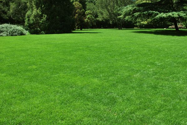 Lawn Landscaping in Bountiful
