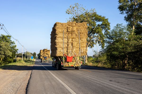 Pine Straw Delivery in Bountiful
