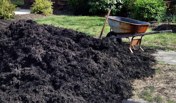 Black Mulch Delivery in Bountiful