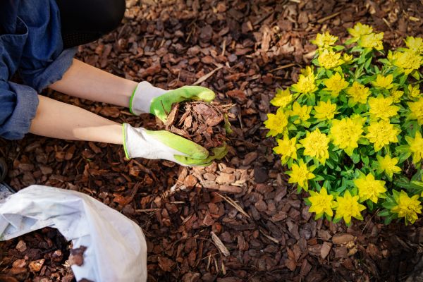 Garden Mulching in Bountiful
