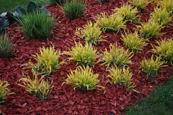 Mulch Landscaping in Bountiful