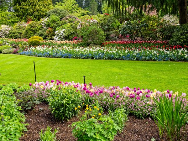 Residential Landscape Design in Bountiful