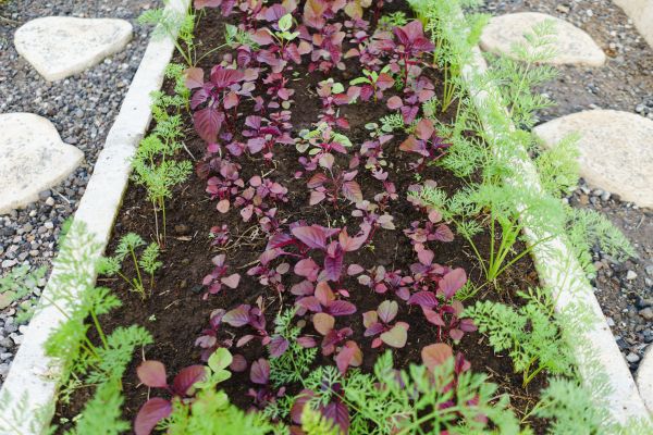 Edging Installation in Bountiful
