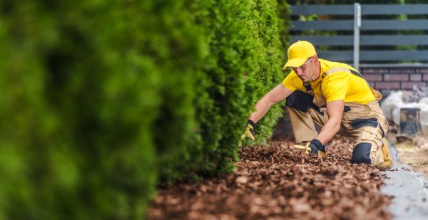 Cypress Mulch Installation in Bountiful