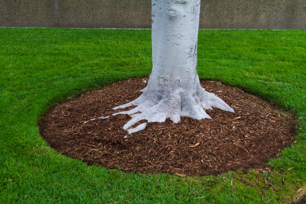 Brown Mulch Installation in Bountiful
