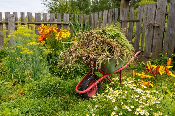 Garden Cleanup Service in Bountiful