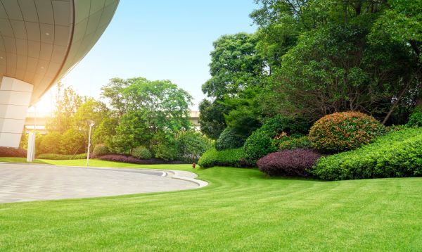 Business Landscape Design in Bountiful