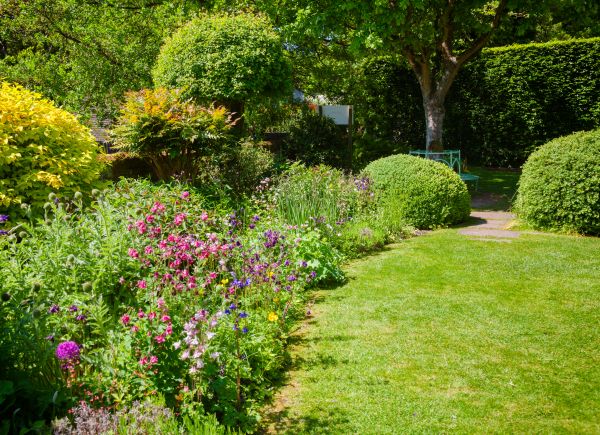Yard Landscaping Service in Bountiful