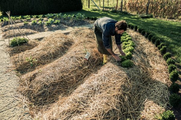 Straw Mulching Service in Bountiful