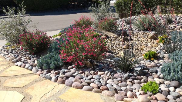 Xeriscape Landscaping in Bountiful