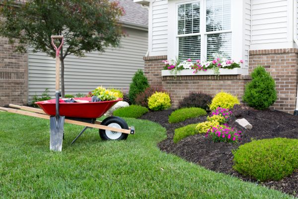 Tree And Shrub Planting in Bountiful