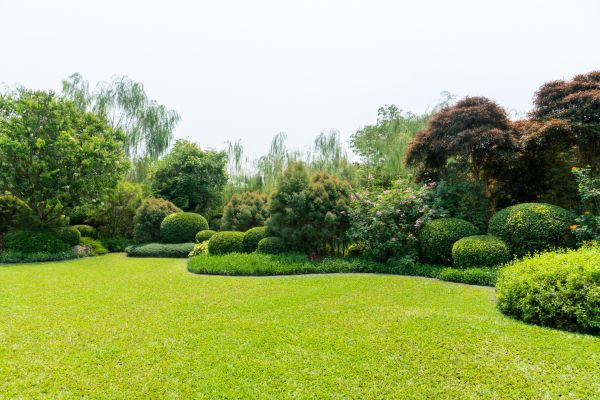 Tree Landscaping in Bountiful