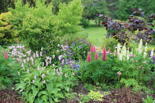 Flower Bed Planting in Bountiful
