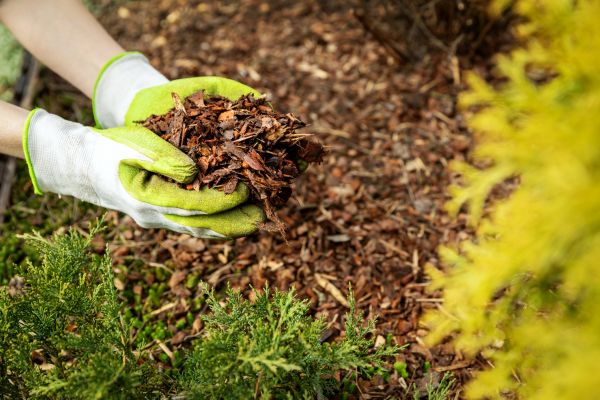 Garden Mulch Delivery in Bountiful