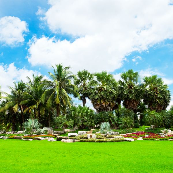Tropical Landscaping in Bountiful