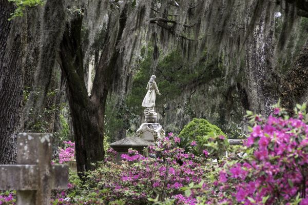 Cemetery Landscaping in Bountiful