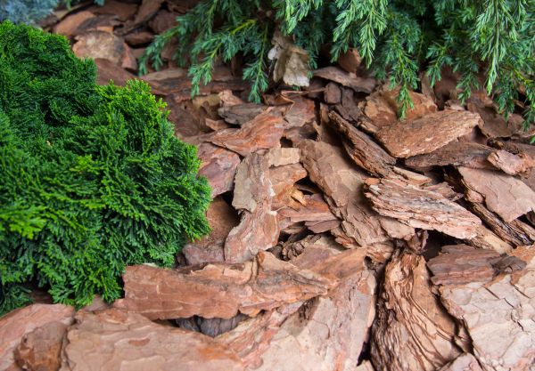 Pine Bark Installation in Bountiful