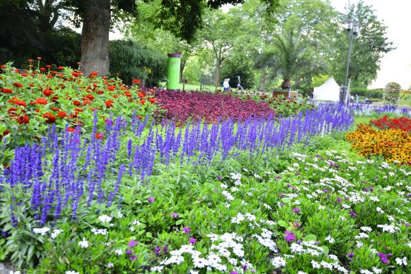 Perennials Planting in Bountiful