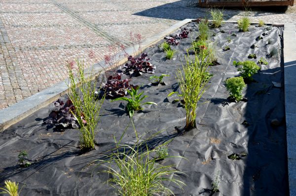 Landscape Fabric Installation in Bountiful