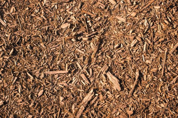 Wood Chips Removal in Bountiful