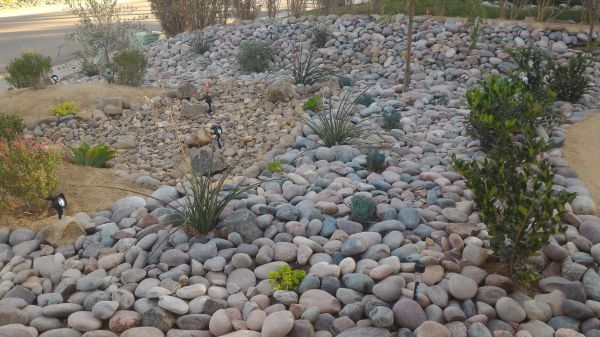 Yard Xeriscaping in Bountiful