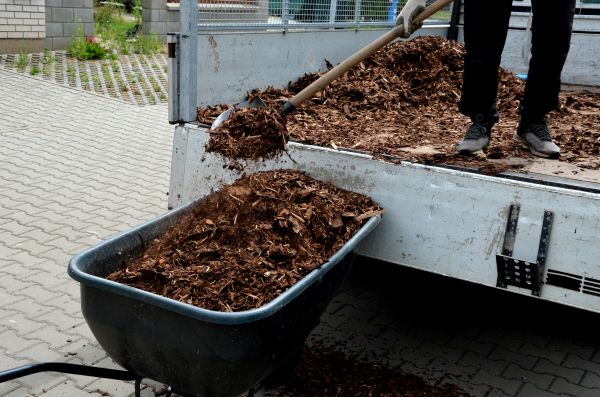 Cedar Mulch Delivery in Bountiful