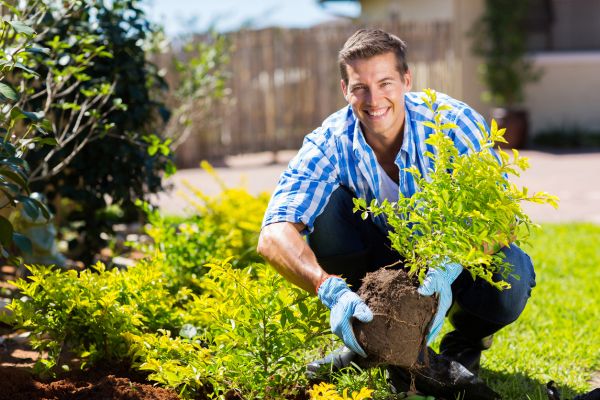 Shrub Landscaping in Bountiful