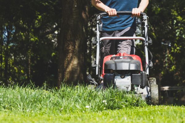 Garden Trimming Service in Bountiful
