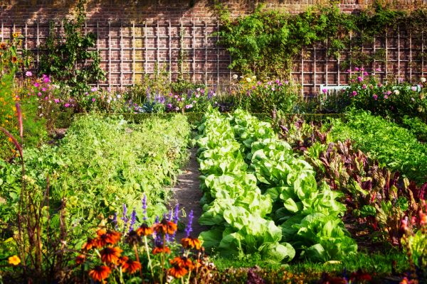 Garden Planting Service in Bountiful