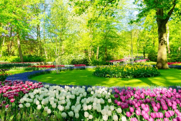 Flower Landscaping in Bountiful