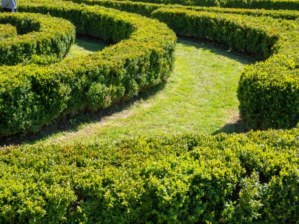 Bush Landscaping in Bountiful
