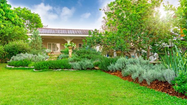 Greenery Planting in Bountiful