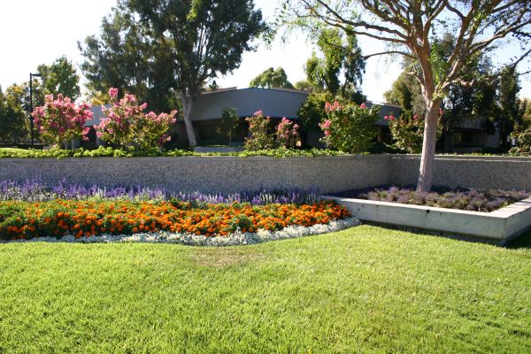 Commercial Landscape Service in Bountiful