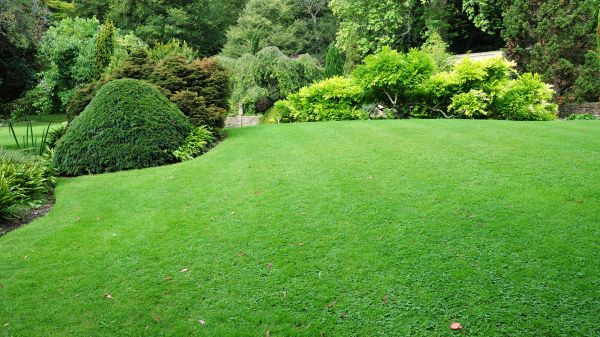 Commercial Landscape Design in Bountiful
