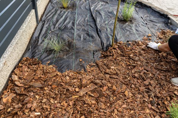 Pine Bark Spreading in Bountiful