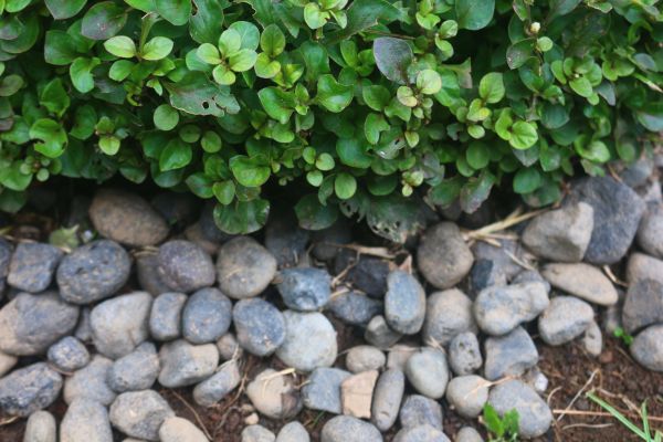 River Stone Installation in Bountiful