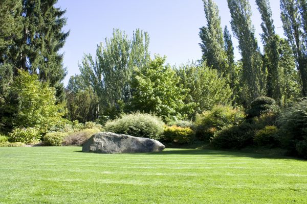 Yard Enlargement in Bountiful