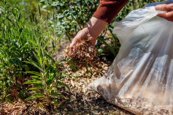 Wood Mulch Installation in Bountiful